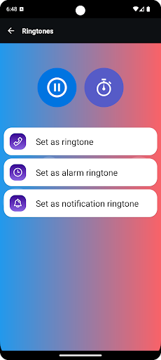 Red-whiskered bulbul Red-whiskered bulbul